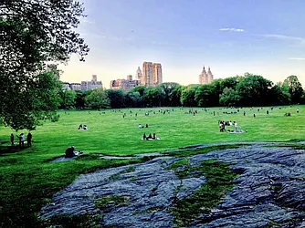 Rented by NY Living Solutions