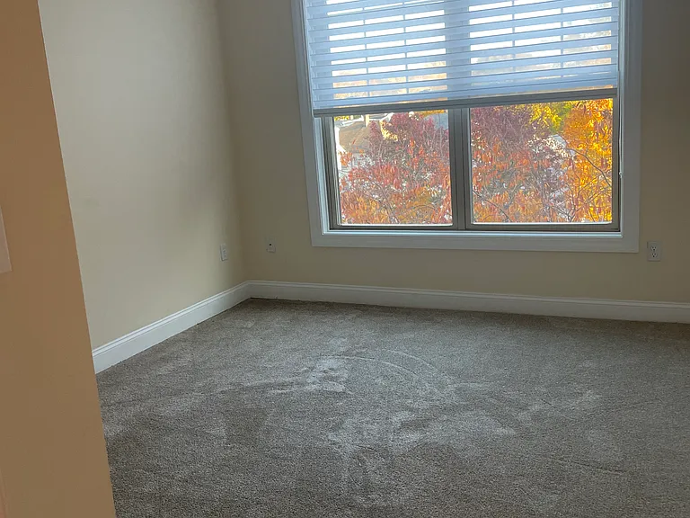 248 Albion St #233 — Photo 4