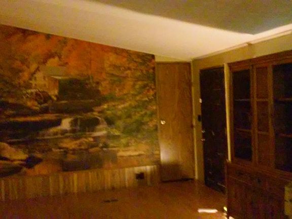 Living room with laminate floor