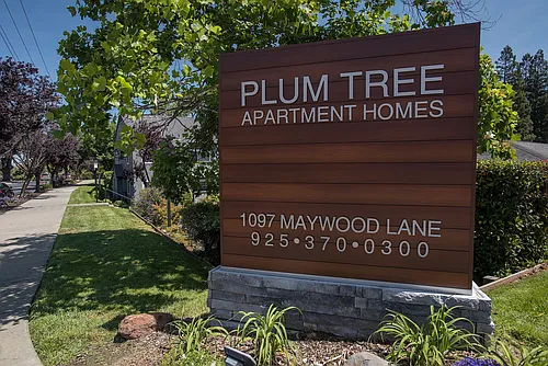 Plum Tree Apartments Photo 1