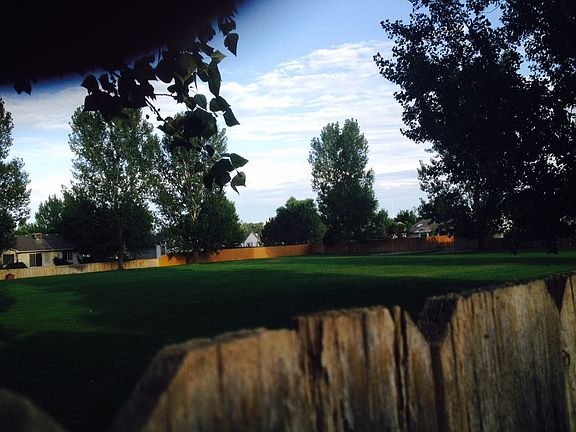 Backyard view of huge park