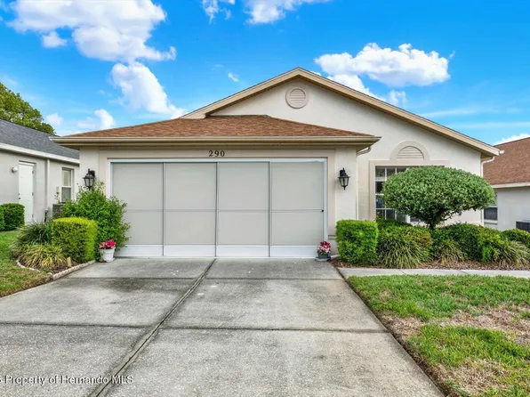 290 Quane Ave, Spring Hill, FL 34609