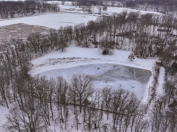 1487 E 2300th Ave N, Brownstown, IL 62418