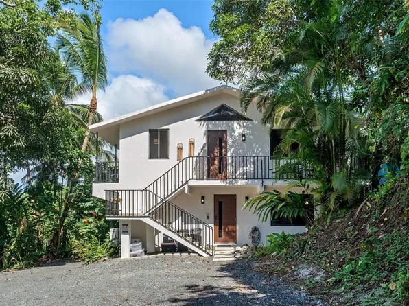 Carr 966 Km 2.8 Bo Jimenez, Rio Grande, PR 00745