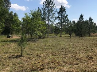 136 Wards Rd, Palatka, FL 32177