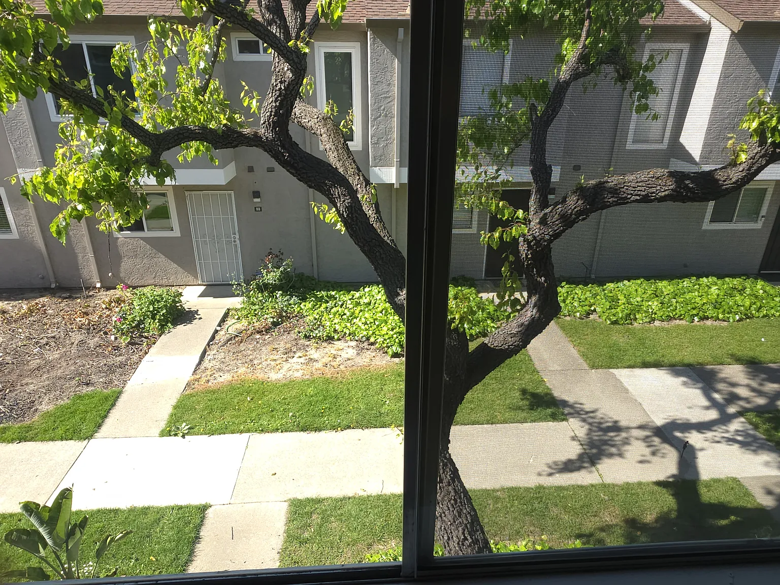 3 bed, 1.5 bath, 1212 sqft, $2,450 — Photo 3