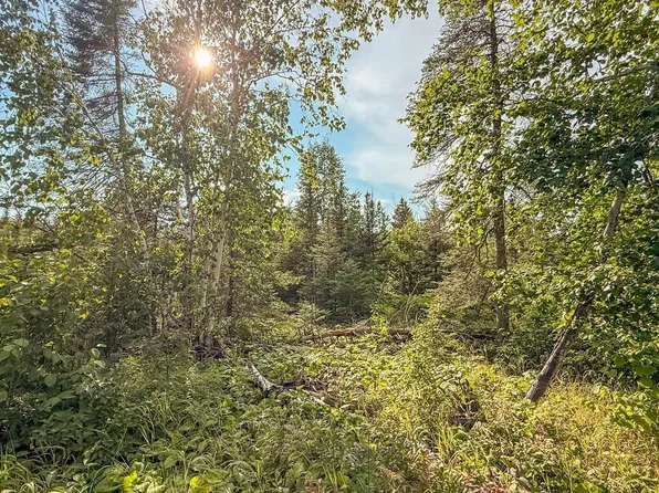 XXX1 Mink Ranch, Lutsen, MN 55612