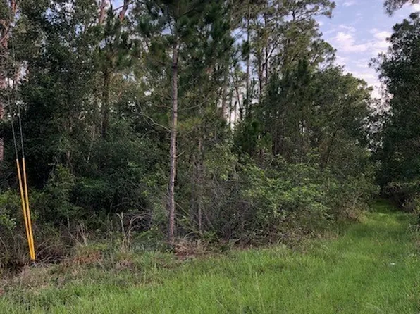 5811 Banyan Rd, Sebring, FL 33875