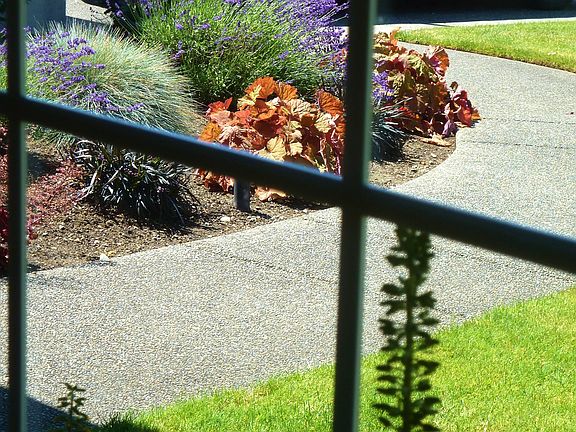 5th image of 12323 38th Avenue Ct NW #103