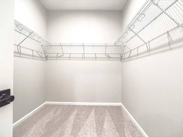 Main Closet