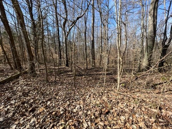 55 56 Old Tobaccoport Rd, Bumpus Mills, TN 37028