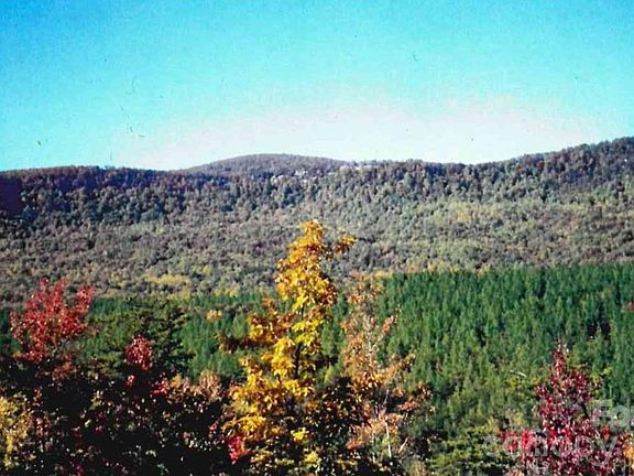 3rd image of 0 Froggyville Ln