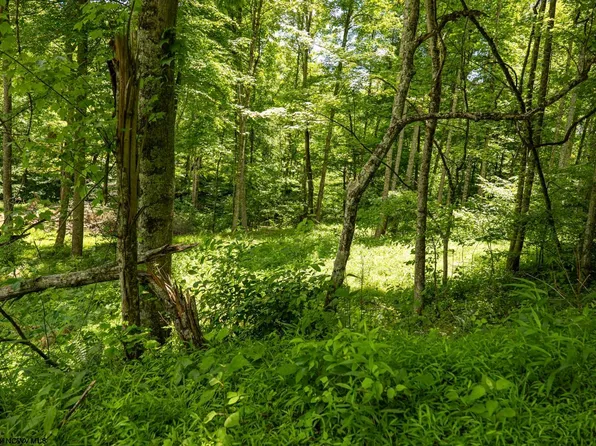 LOT 19 Lake Island Dr, Belington, WV 26250