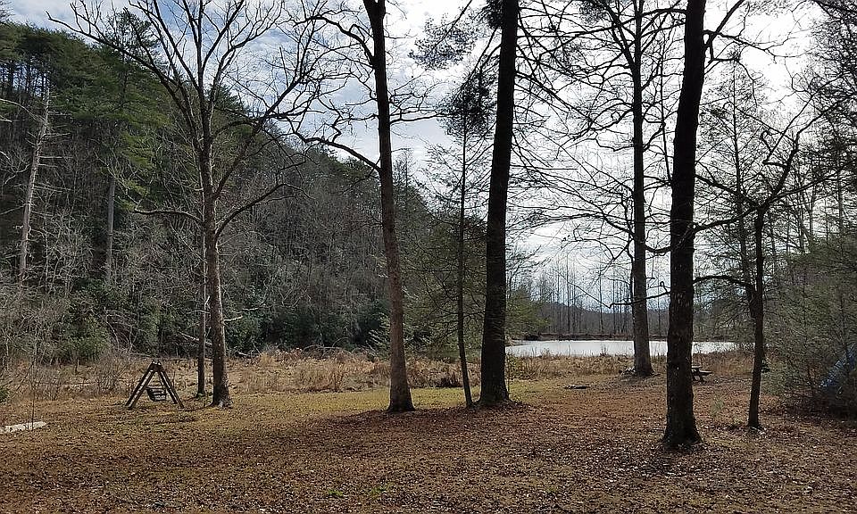 View south across the pond