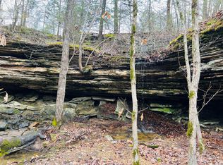 11A Chessmond Ferry Rd, Calico Rock, AR 72519