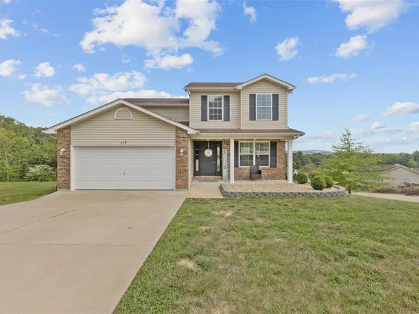 313 Williams Ct, Crystal City, MO 63019