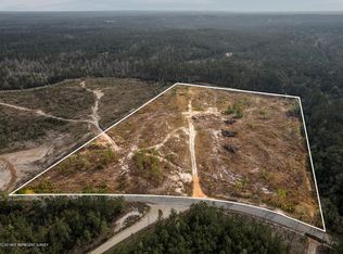 196 S County Line Rd, Lumberton, MS 39455