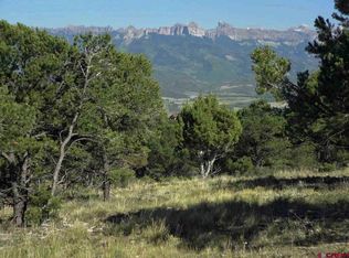 781 Pine Dr, Ridgway, CO 81432