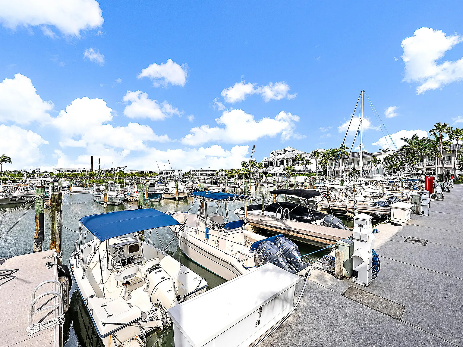 Bermuda — Photo 3