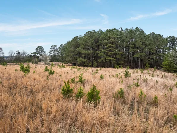 0 Dallas Brownlee Rd, Laurel, MS 39443