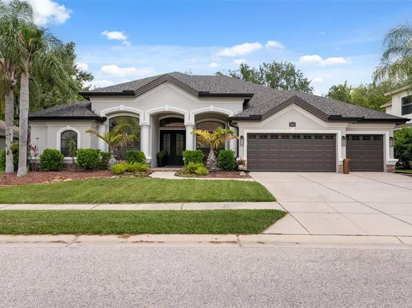 15413 Azra Dr, Odessa, FL 33556