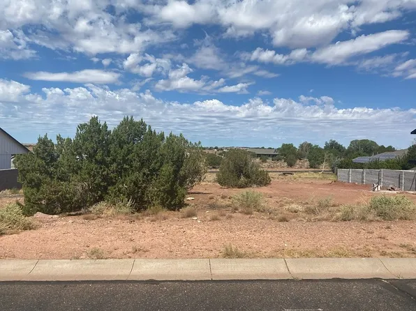 438 S Pioneer Trl, Snowflake, AZ 85937