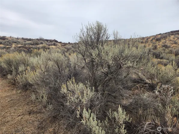 0 Lot 19 Bodie Drive, Ephrata, WA 98823