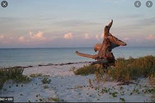 4th image of Gulf Shore Dr