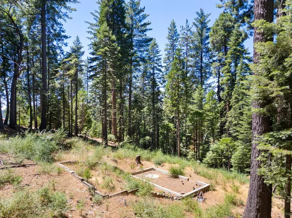 1704 Boro Ct, Arnold, CA 95223