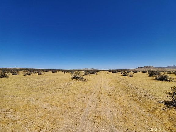 5th image of 602 Mimosa Rd