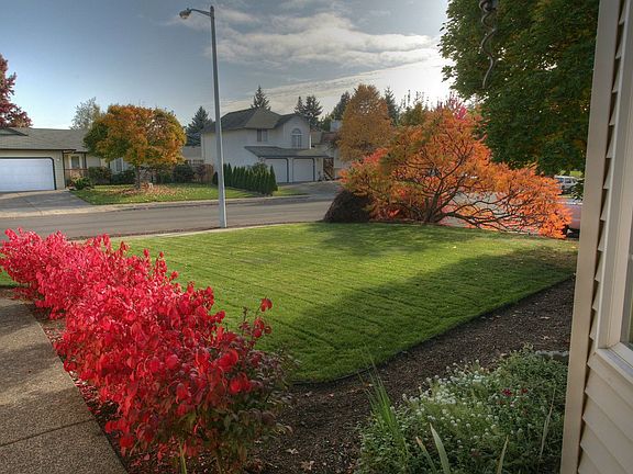View to street from front door