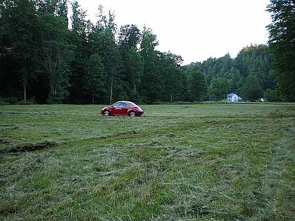 Level Meadow