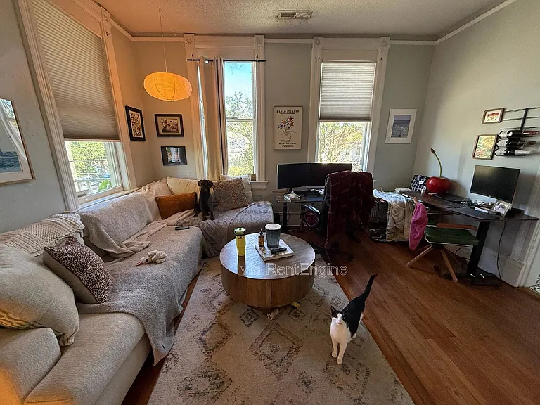 221 Congress St #5 — Photo 30