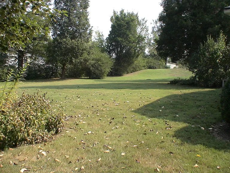 2704 Ball Camp Byington Rd — Photo 21