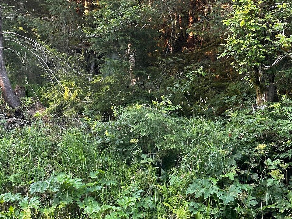 2nd image of 475 Mitkof Hwy