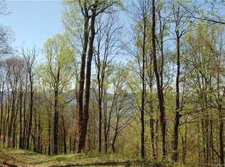 111 Vizsla Way, Waynesville, NC 28786