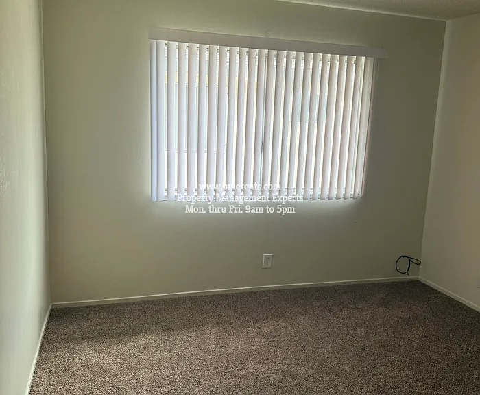 1331 Pinetree Dr #3 — Photo 6
