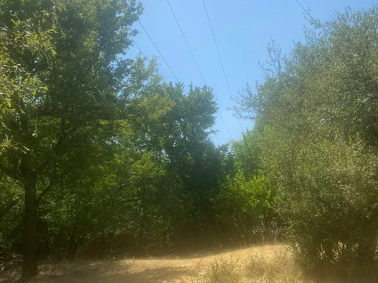 2397 S US Highway 287 — Photo 14