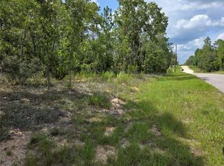 0000 NE 150TH AVENUE LOT 3, WILLISTON, FL 32696