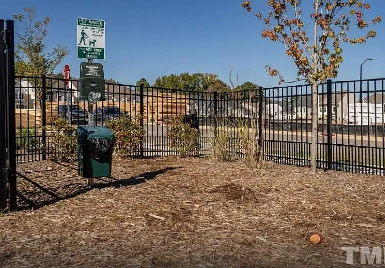 823 Napier Dr — Photo 11