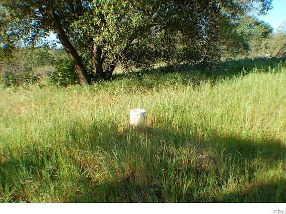 4th image of Olive Hwy