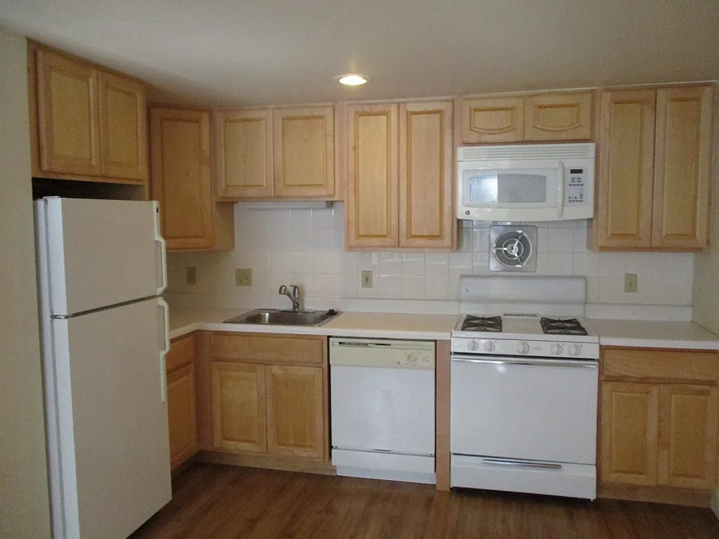 1 bed, 550 sqft, $2,950 — Photo 4