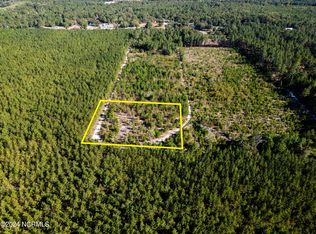 2-TBD2 N Turnpike Rd, Wagram, NC 28396