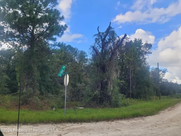 16224 Crider Rd, Brooksville, FL 34614