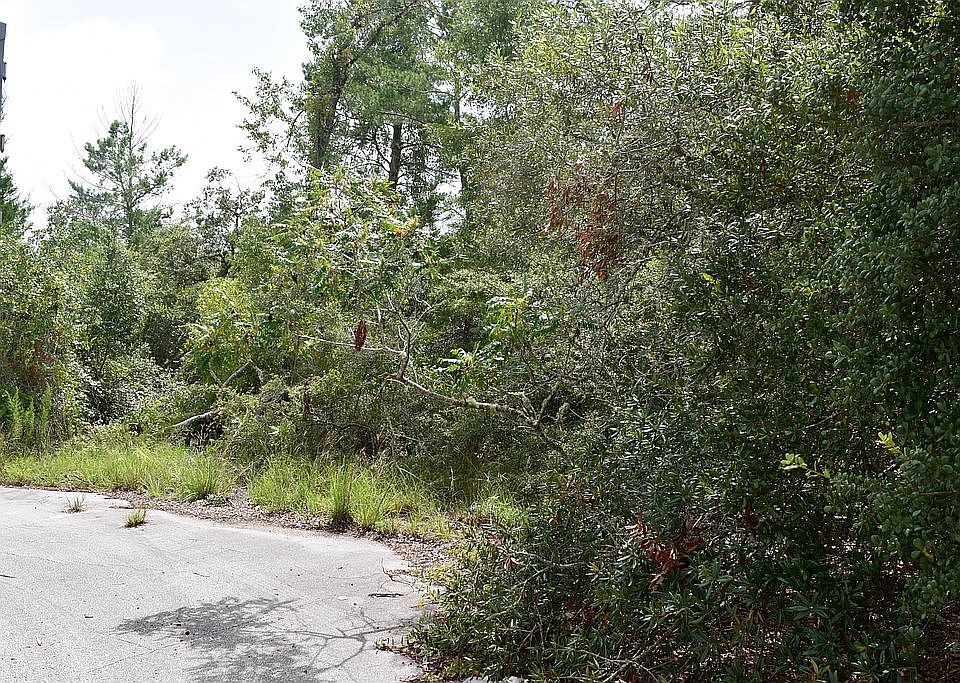 2nd image of Olive Lane Ocala Florida #34472