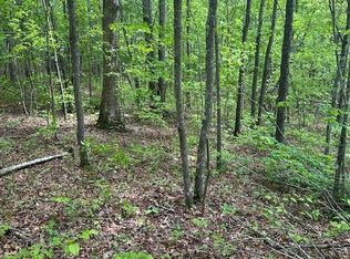 LOT 116 Big Piney Loop, Wilder, TN 38589