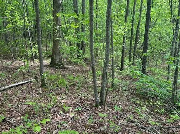 LOT 116 Big Piney Loop, Wilder, TN 38589