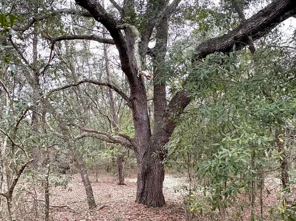 501 GLADES Street, Florahome, FL 32140