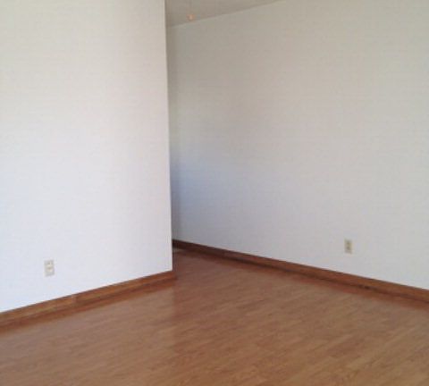 3rd image of 933 Holly Ave