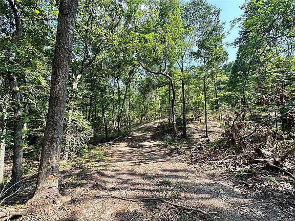 5th image of 0 Stone Ridge Rd